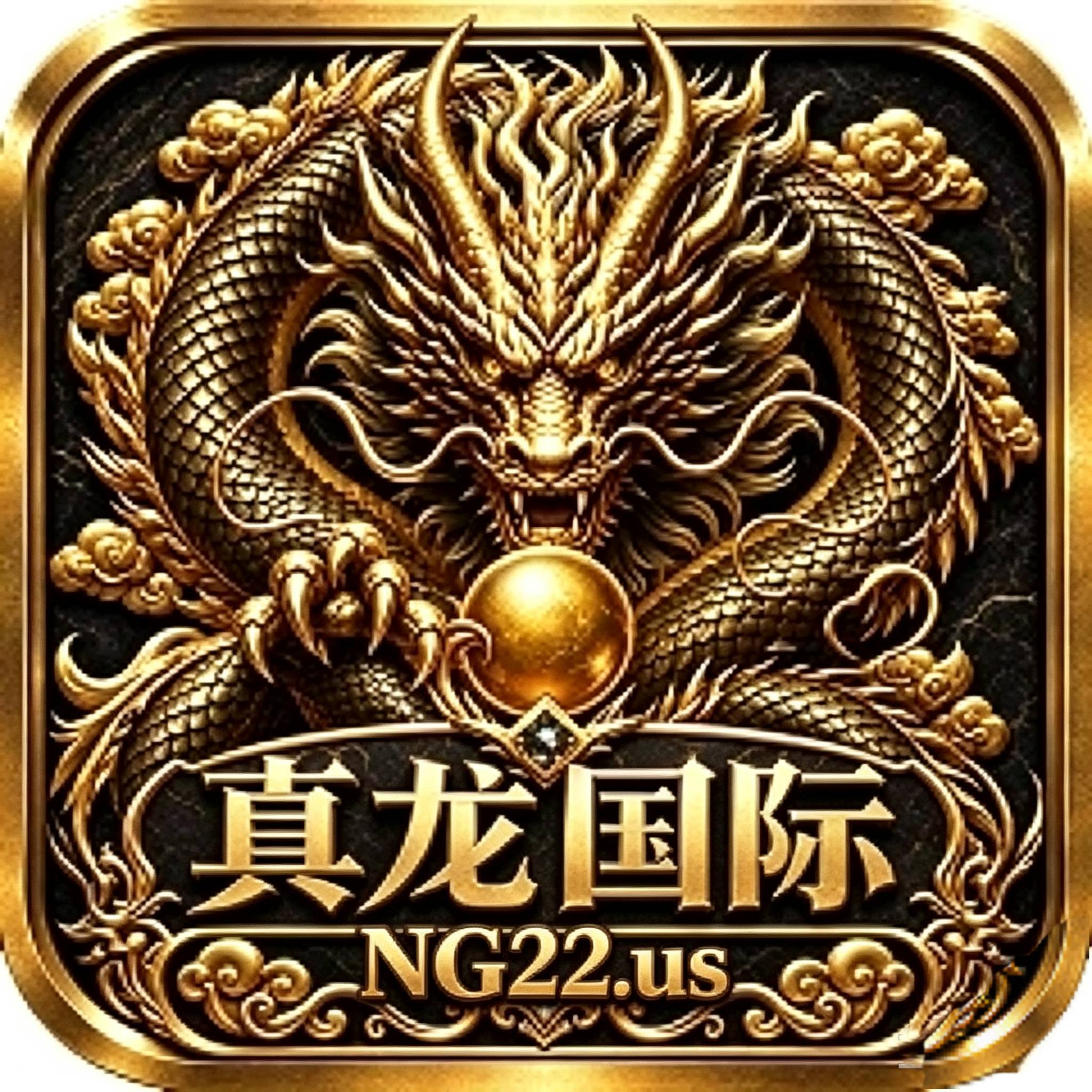 真龙国际
